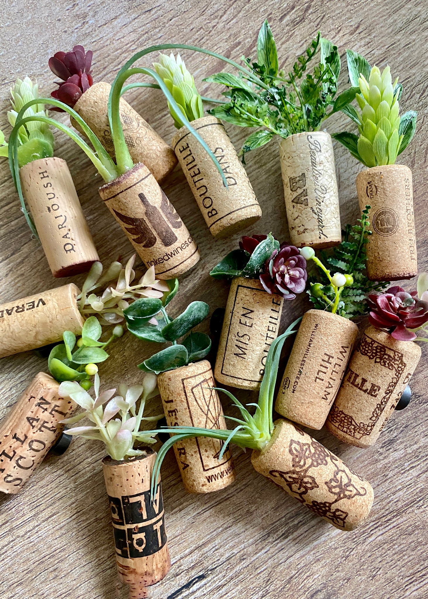 wine cork succulent magnets Succulent Wine Cork Magnets (Set of 3)