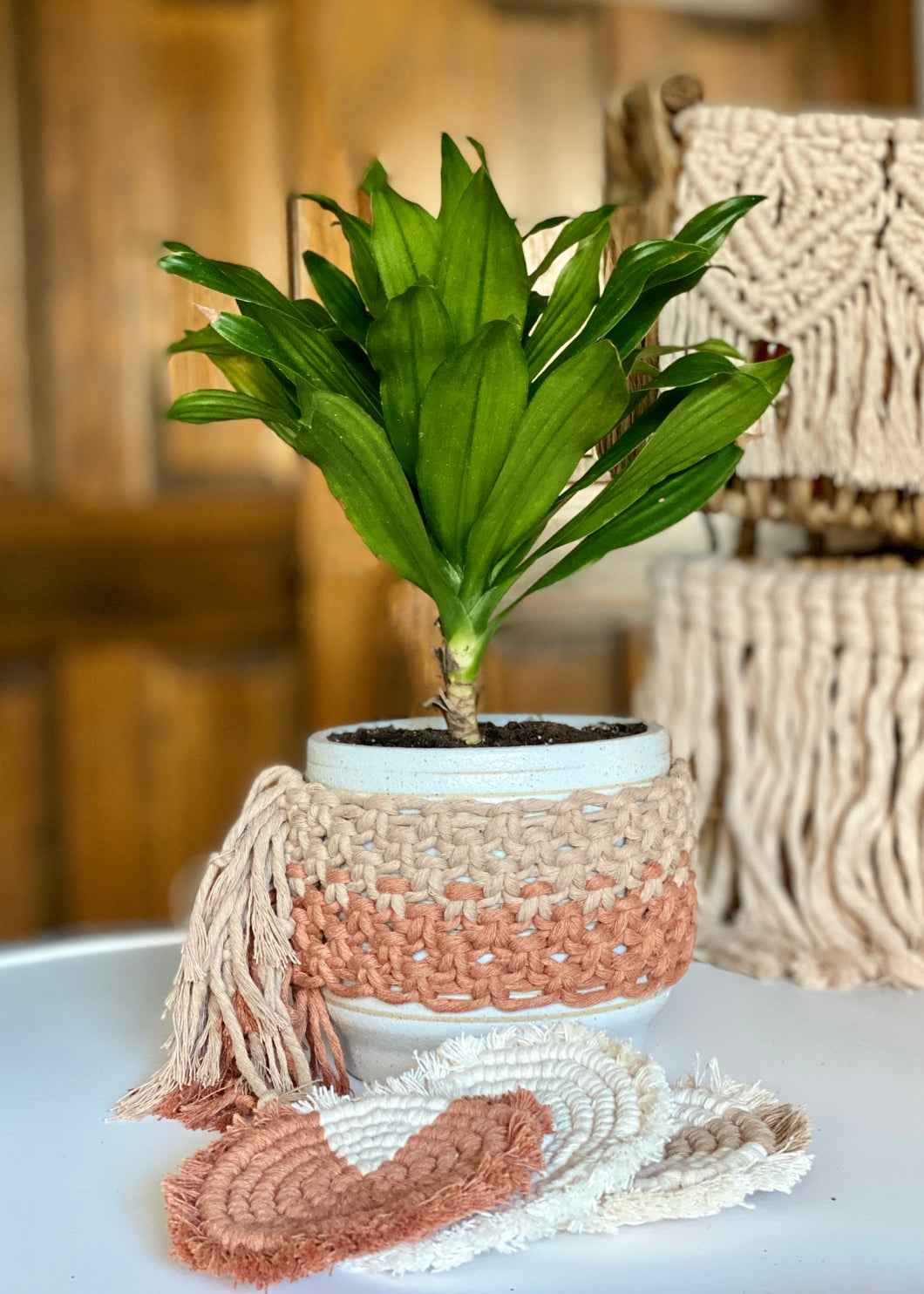 Planter Wrap / Coaster Set Combo